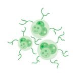 oncology & cancer treatment in bangluru india
